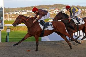 Fast Raaj - Challenge Polytrack 2024