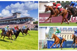 #ArcRoad : A mouthwatering Arc Trials casting