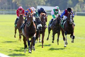 Juddmonte Grand Prix de Paris Report: Mogul, like his brother Japan