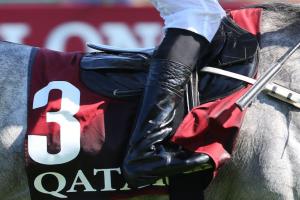 Qatar Arc Trials Review: What they say, who's on ...