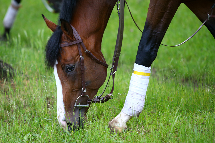 cheval