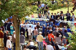 The Deauville Barrière meeting in the starting blocks