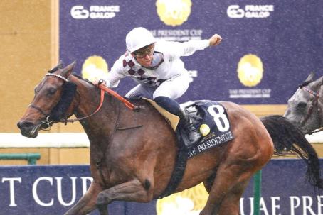 Une image contenant Rêne, étalon, Fournitures pour cheval, bride
Le contenu généré par l’IA peut être incorrect.