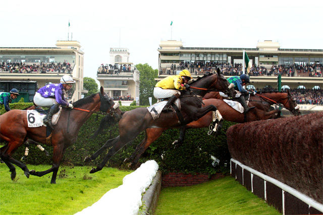 Steeple-Chase