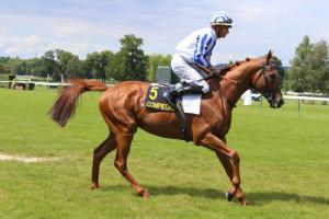 Prix Max Sicard (L) : Satanicjim double la mise