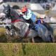 Kaadam, Auteuil 2025