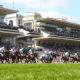 Auteuil