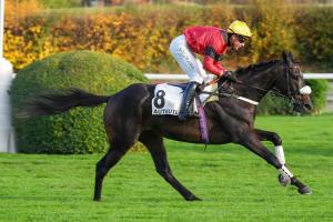 Crown du Berlais