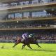 Arrivée du Qatar Prix de l'Arc de Triomphe