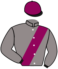 Casaque Team Spirit