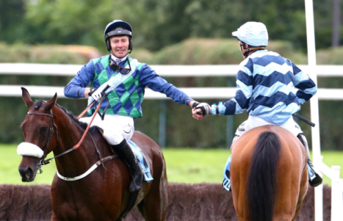Become an Owner of a Racehorse